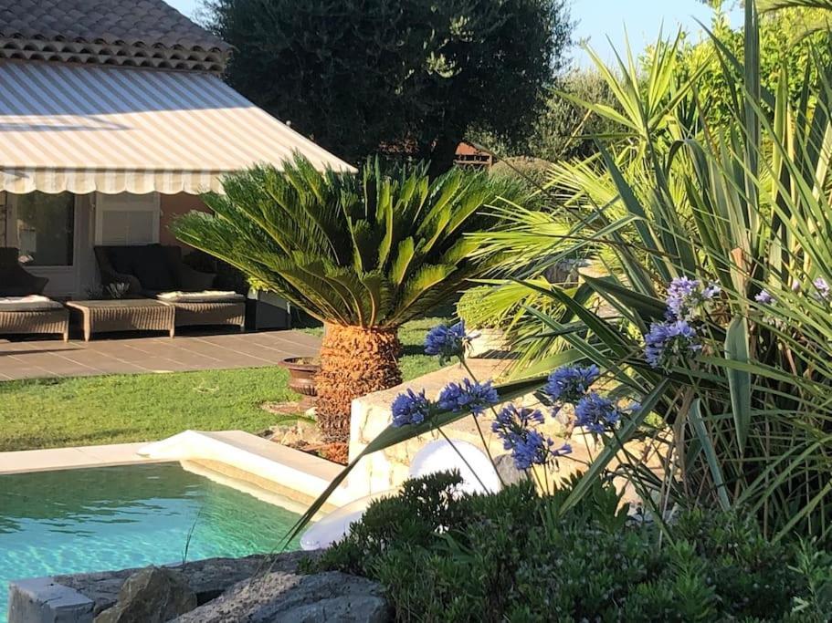 Villa Ty Laouen Opio ภายนอก รูปภาพ